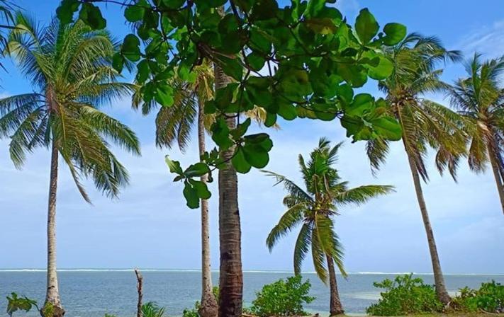 Sol Y Mar Beach Resort General Luna  Luaran gambar